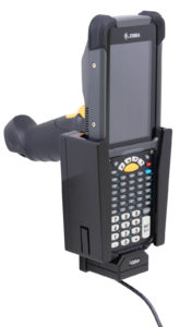 zebra isolated graphic