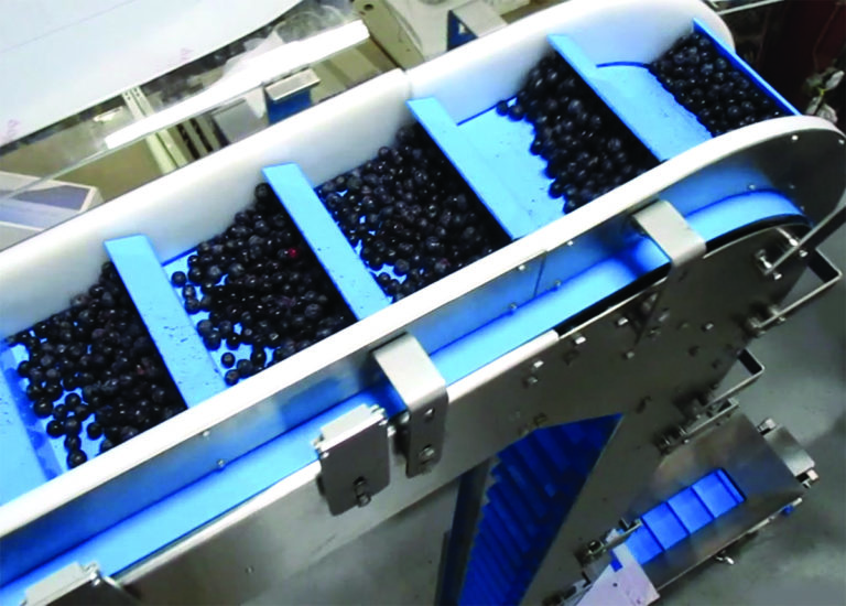 Z-Incline Vertical Scoop by Multi-Conveyor image