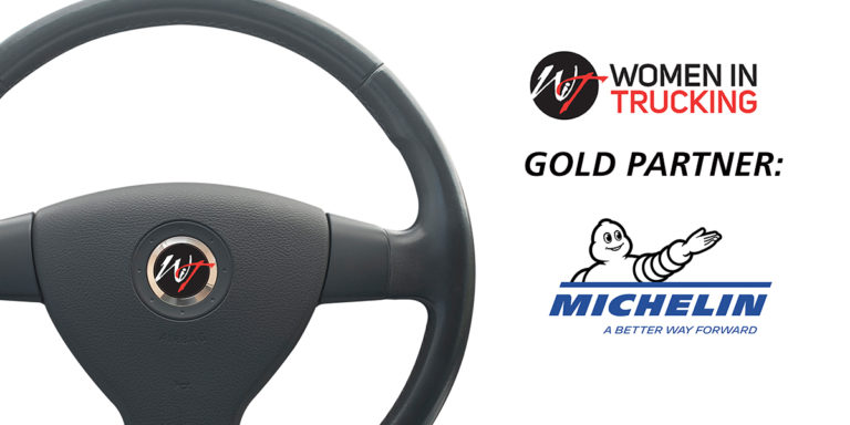 wit-partners-michelin image