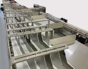 Laner Conveyor for bottle and can variety case pack