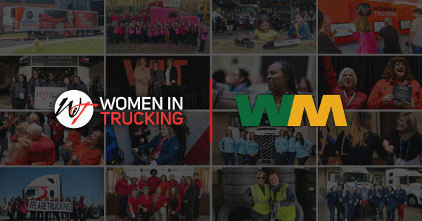 WIT-Partner image